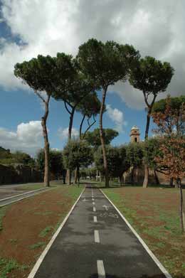 Жаль нет велосипеда 12_5