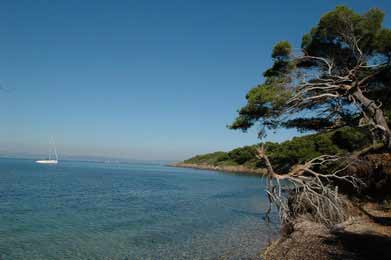 Райский уголок 27_9