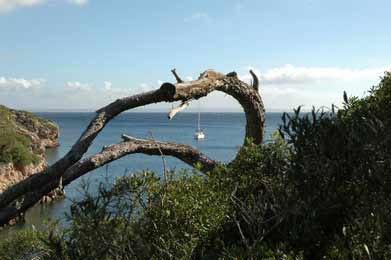 Маааленькая яхточка 7_1