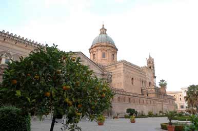 Апельсины 24_1