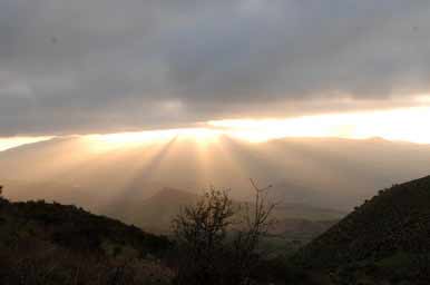 Лучи света 25_1