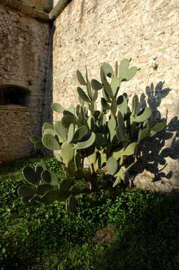 Не хватает ковбоя 24_5