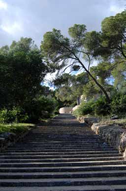 Дорога к форту 9_8